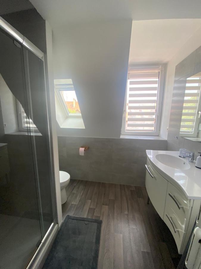 Appartement Cosy A Колмар Екстериор снимка