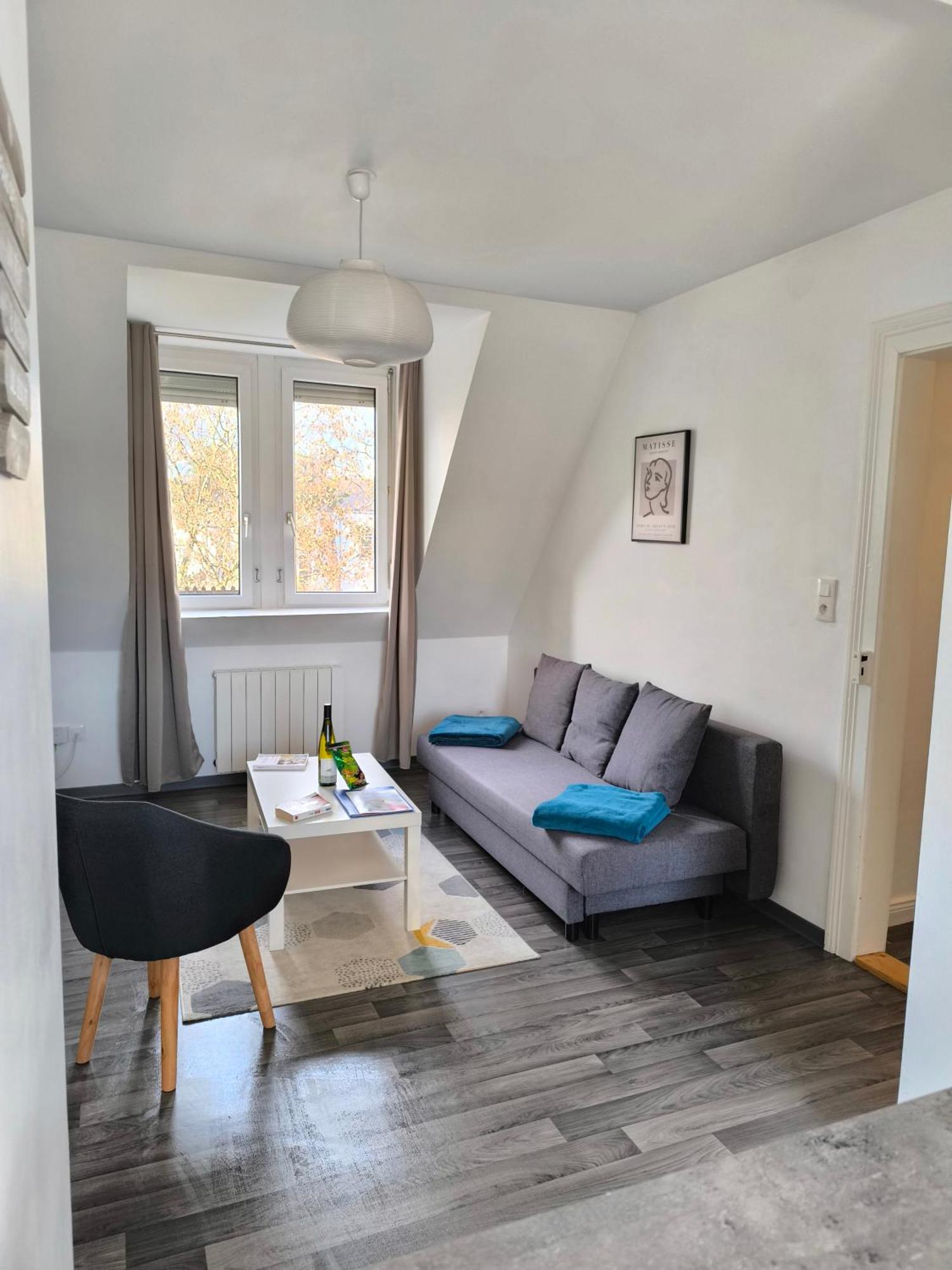 Appartement Cosy A Колмар Екстериор снимка