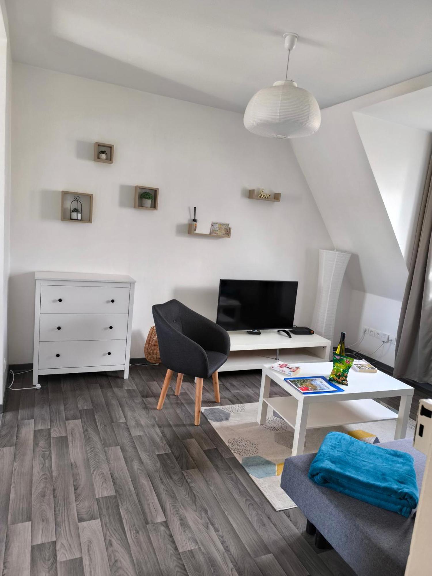 Appartement Cosy A Колмар Екстериор снимка