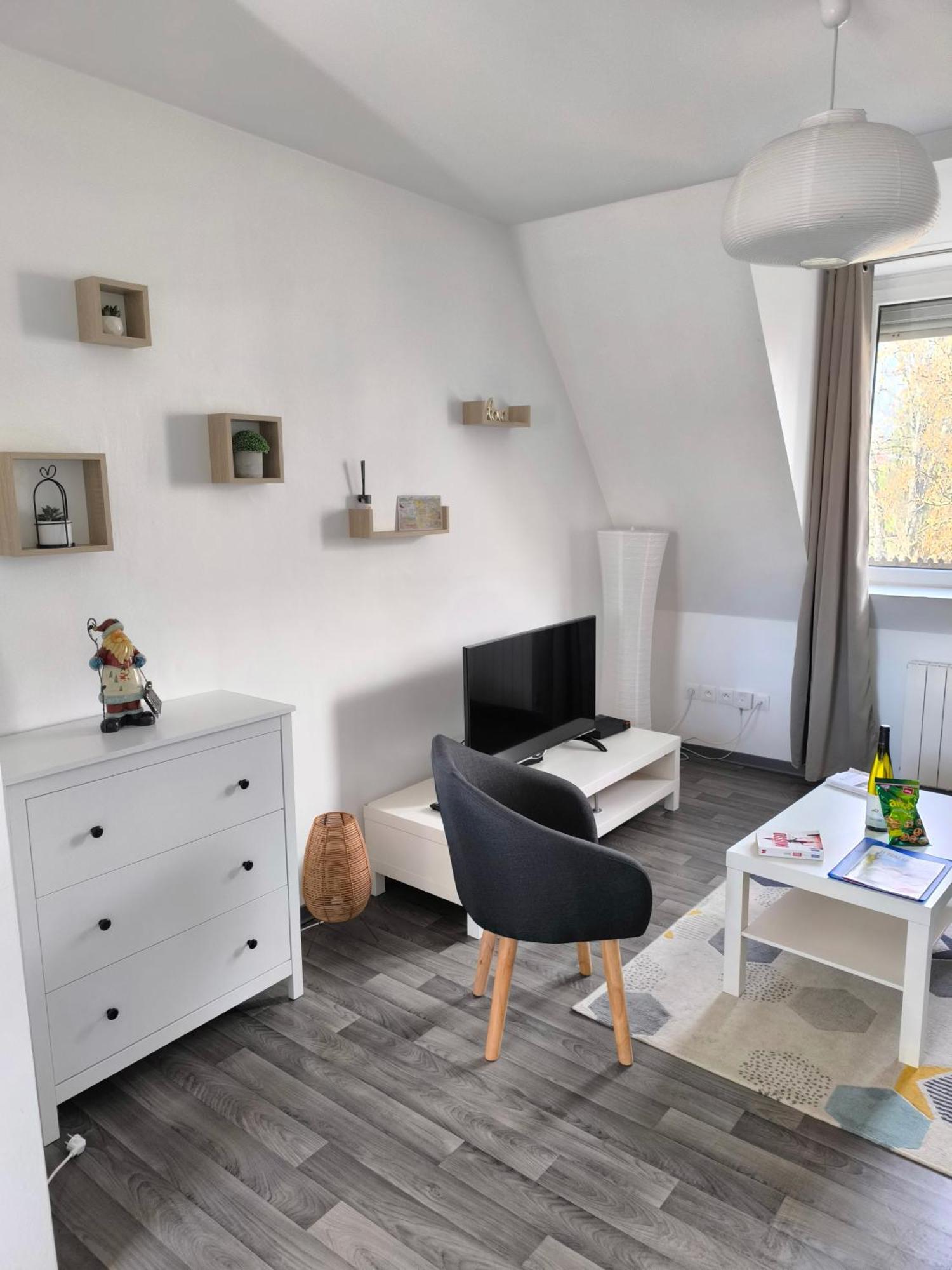 Appartement Cosy A Колмар Екстериор снимка