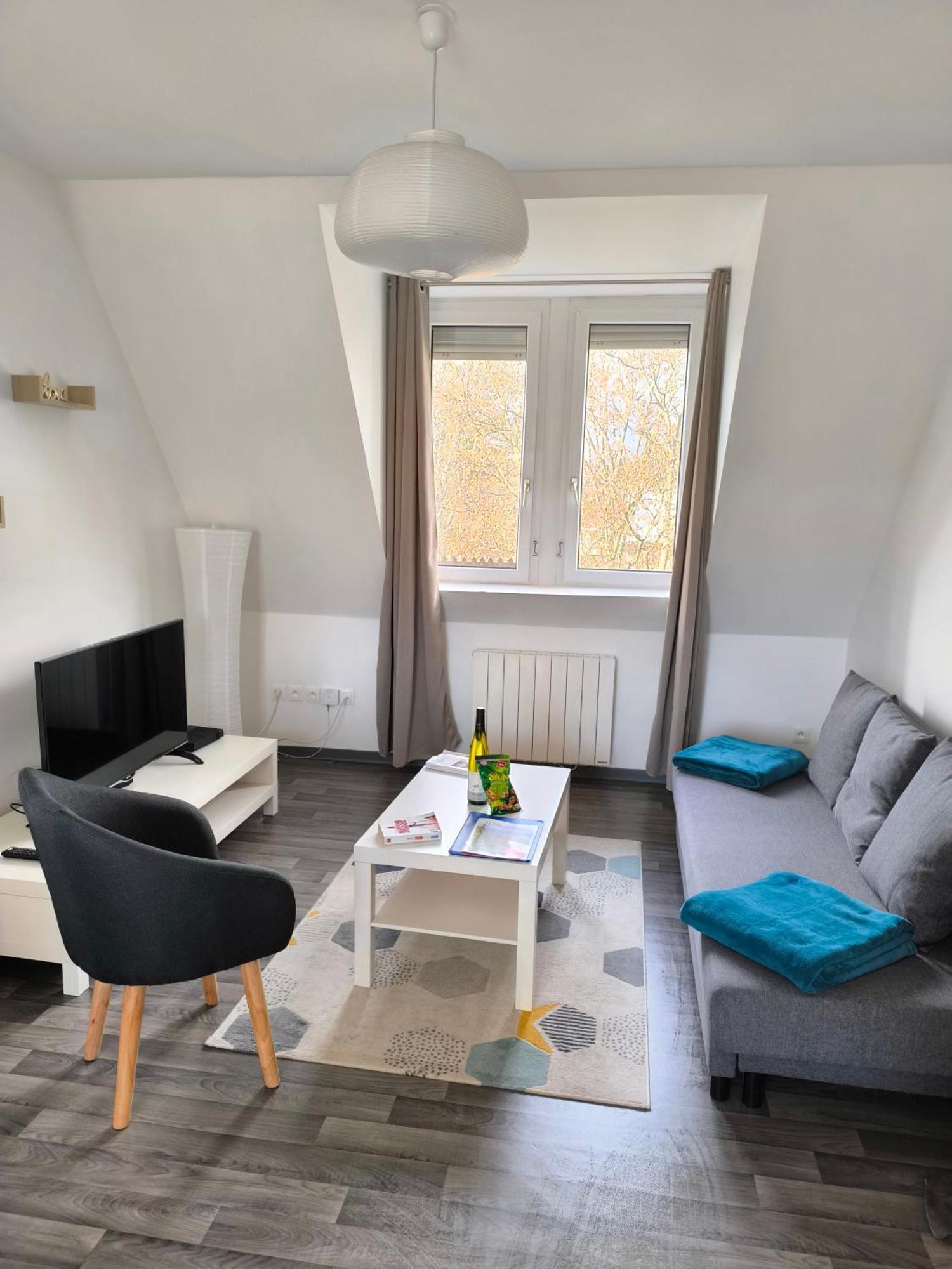Appartement Cosy A Колмар Екстериор снимка